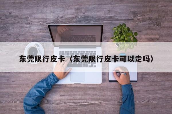 东莞限行皮卡（东莞限行皮卡可以走吗）