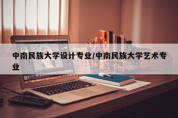 中南民族大学设计专业／中南民族大学艺术专业